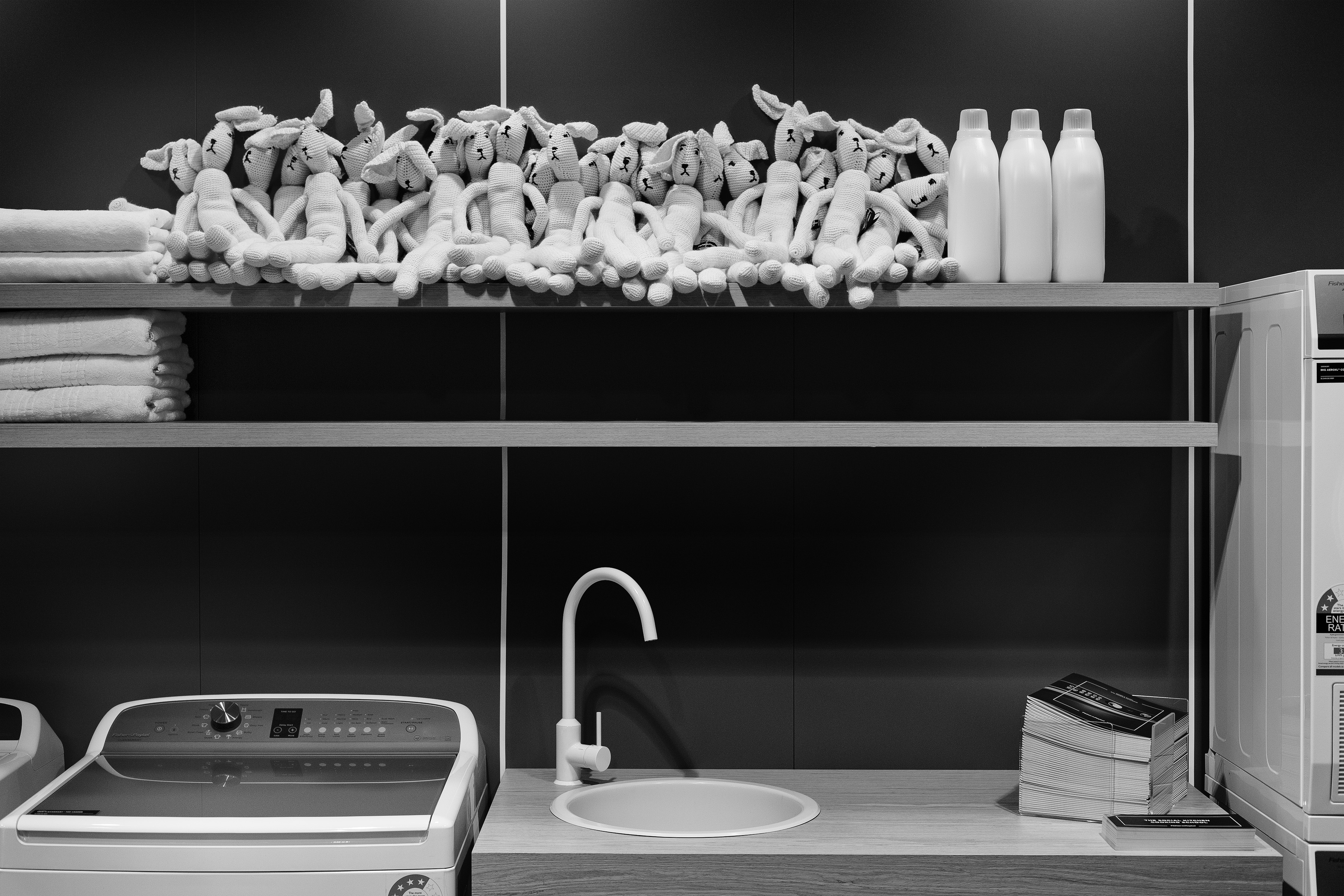 Fisher & Paykel at Grand Design Live