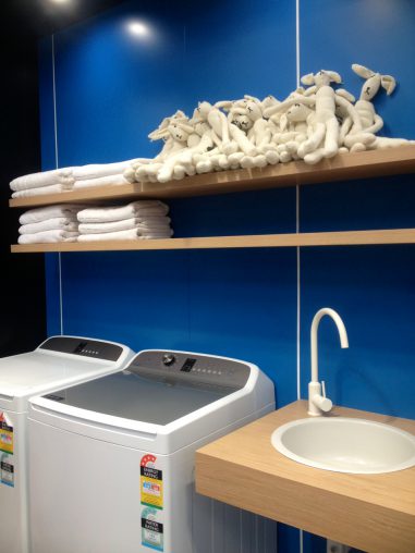 Fisher & Paykel at Grand Design Live