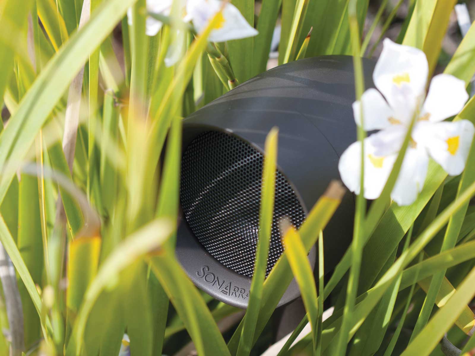 Garden Secret Sonance disguises outdoor speaker system among the roses